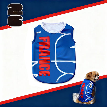 ⚽🐾 Soccer Fan Pet Jersey – Game Day Ready 🇺🇸