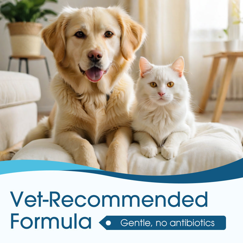 🐶🐱 Gentle Pet Ear Cleaning Solution Cleaner Ears. Happier Pets.