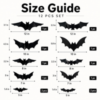 12 Pack - Starter Set