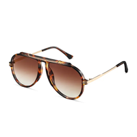 Tortoise/Gradient Brown