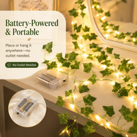 16.4ft (5m) - 50 LEDs [Medium / Bed Headboard]