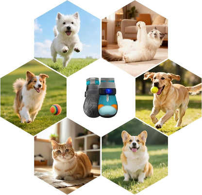 🐾✨LED Motion Activated Light Up Pet Boots