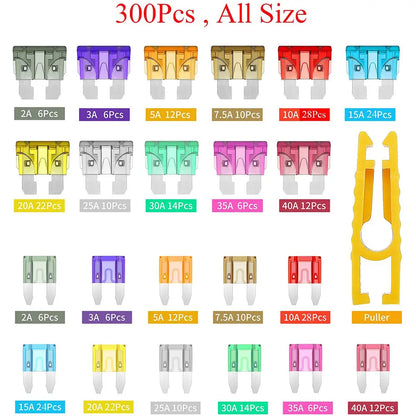 🚗🛠️300Pcs Car Fuse Assortment Kit - Mini, Standard & Micro Fuses