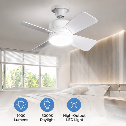 2-in-1 Socket Ceiling Fan & LED Light with Remote 💡🌀