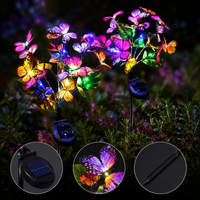 colorful light