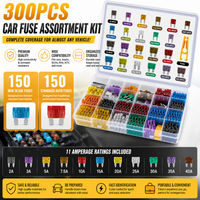 Colorful-300 Pcs