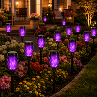 Purple Light