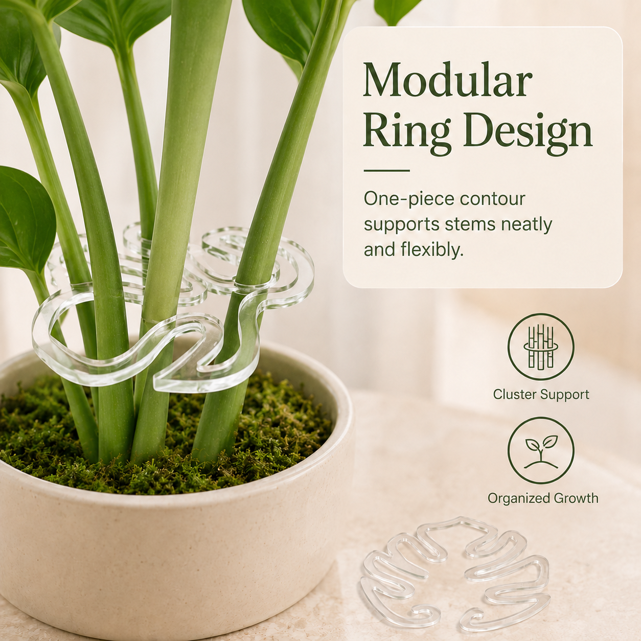 🏷️Invisible Clear Plant Support Ring Hooks  (8 / 12 / 20 Pack)