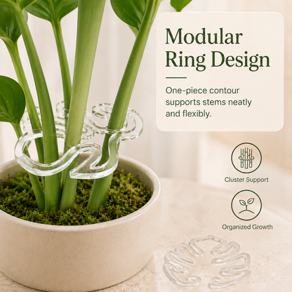 🏷️Invisible Clear Plant Support Ring Hooks  (8 / 12 / 20 Pack)