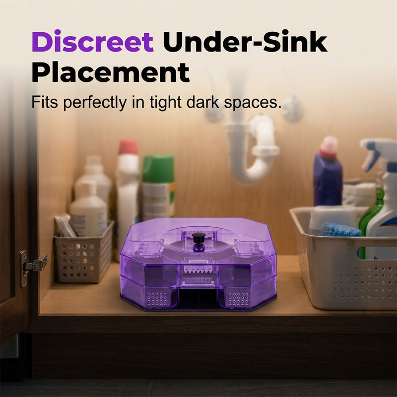 🪳 Ultimate Eco-Friendly Roach Trap