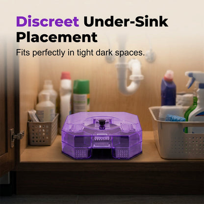 🪳 Ultimate Eco-Friendly Roach Trap
