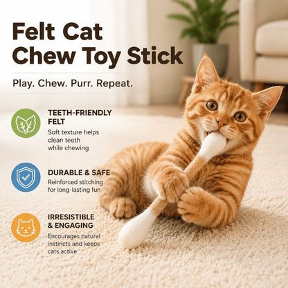 🐱Q Tips Cat Toy