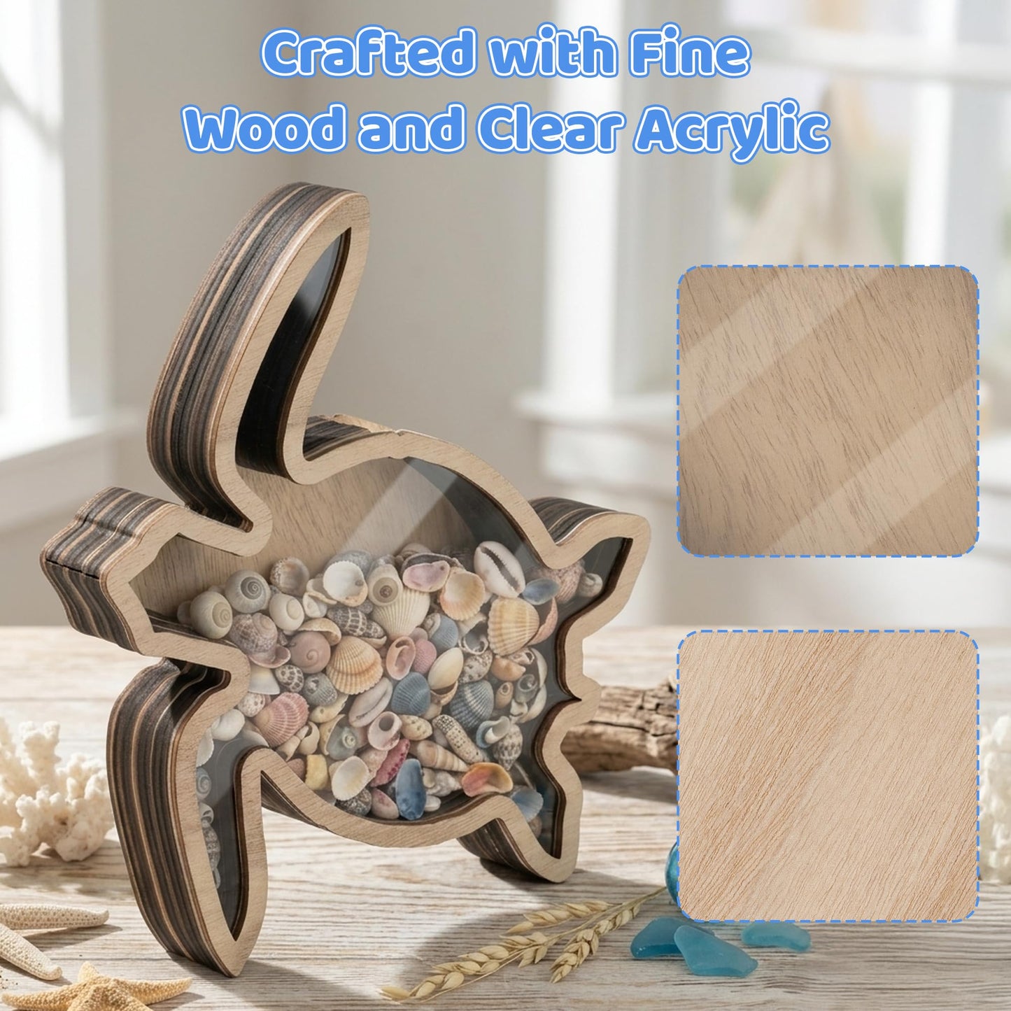 Turtle Wooden Shell Display Box