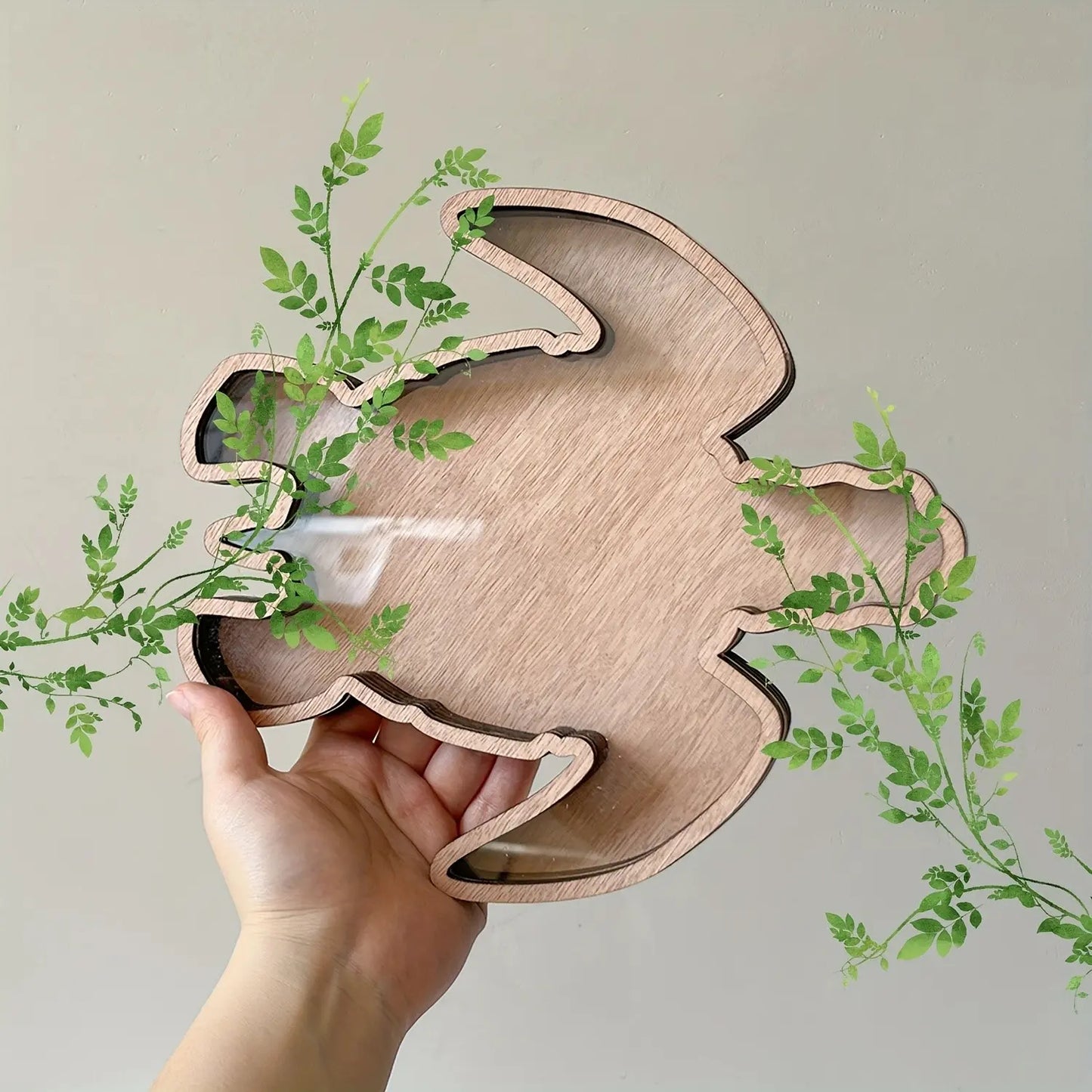 Turtle Wooden Shell Display Box