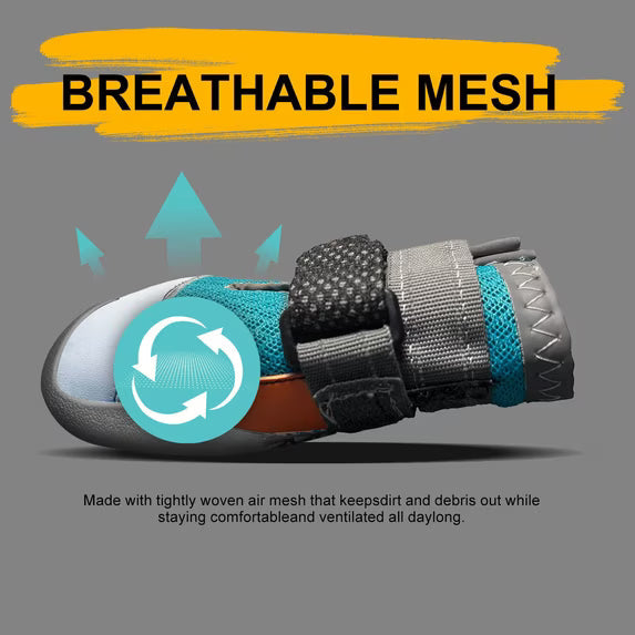 🐾✨LED Motion Activated Light Up Pet Boots