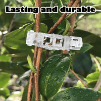 Pack of 200 clips