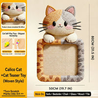 Calico Cat