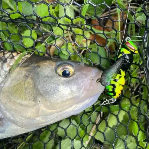 🔥💥 The Realest Sting: Bionic Wasp Topwater Lure [Must-Have] 🎣-Elite